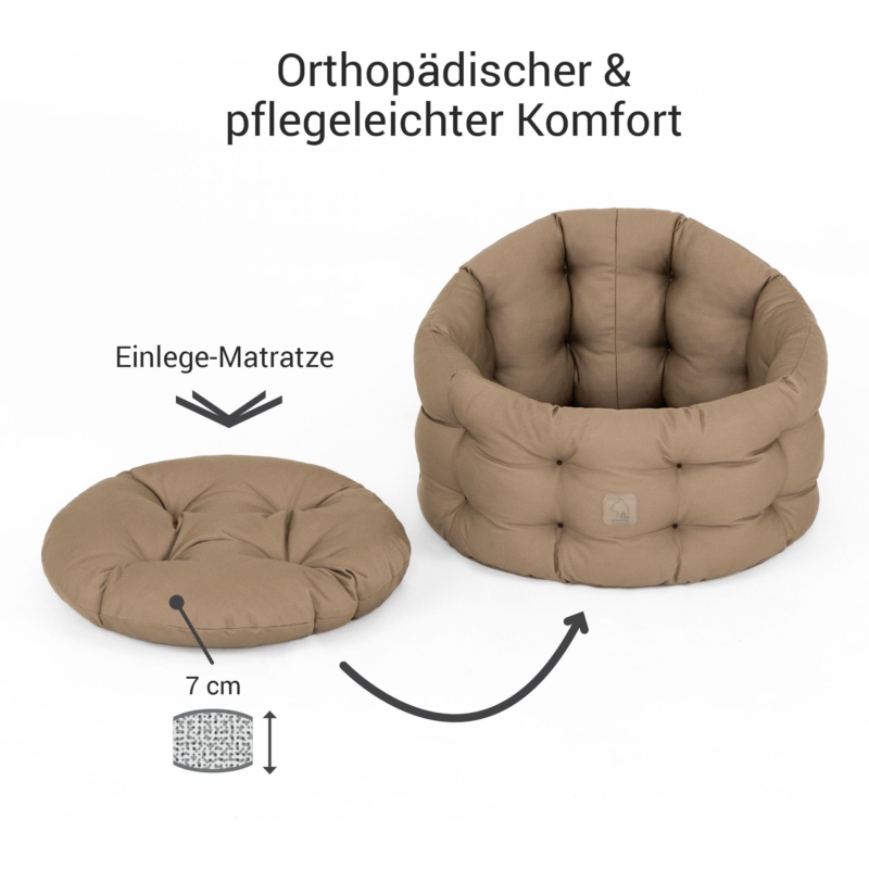 katzenbett-groesse_katze-goldbraun-doctorbark4cats_24_2100x2100