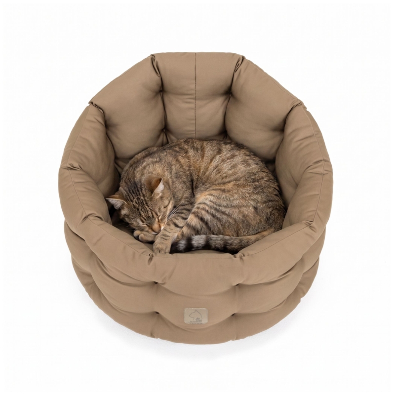 katzenbett-groesse_katze-goldbraun-doctorbark4cats_2_2100x2100