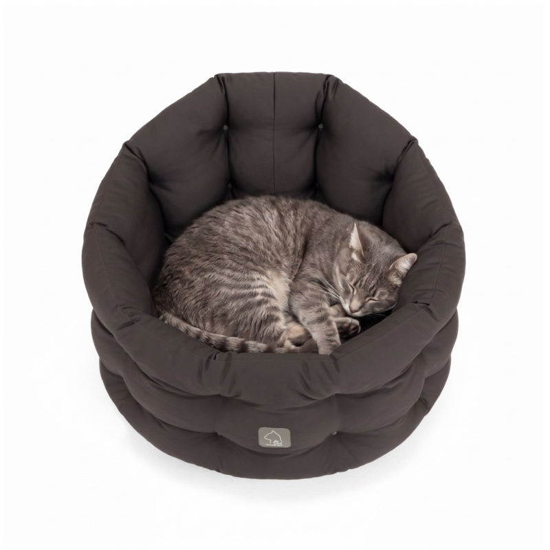 katzenbett-groesse_katze-grau-doctorbark4cats_2_2100x2100