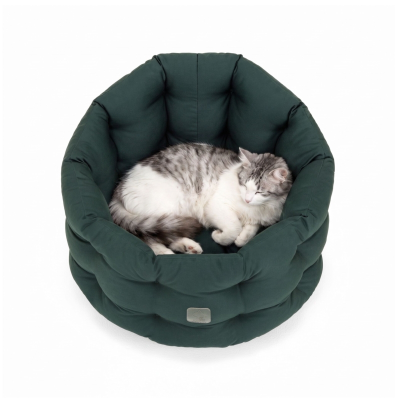katzenbett-groesse_katze-gruen-doctorbark4cats_2_2100x2100